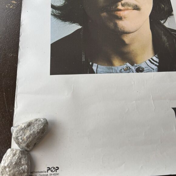 Beatles White Album Poster Apple Corps 35”x23” John Paul George Ringo Portraits - Picture 8 of 12